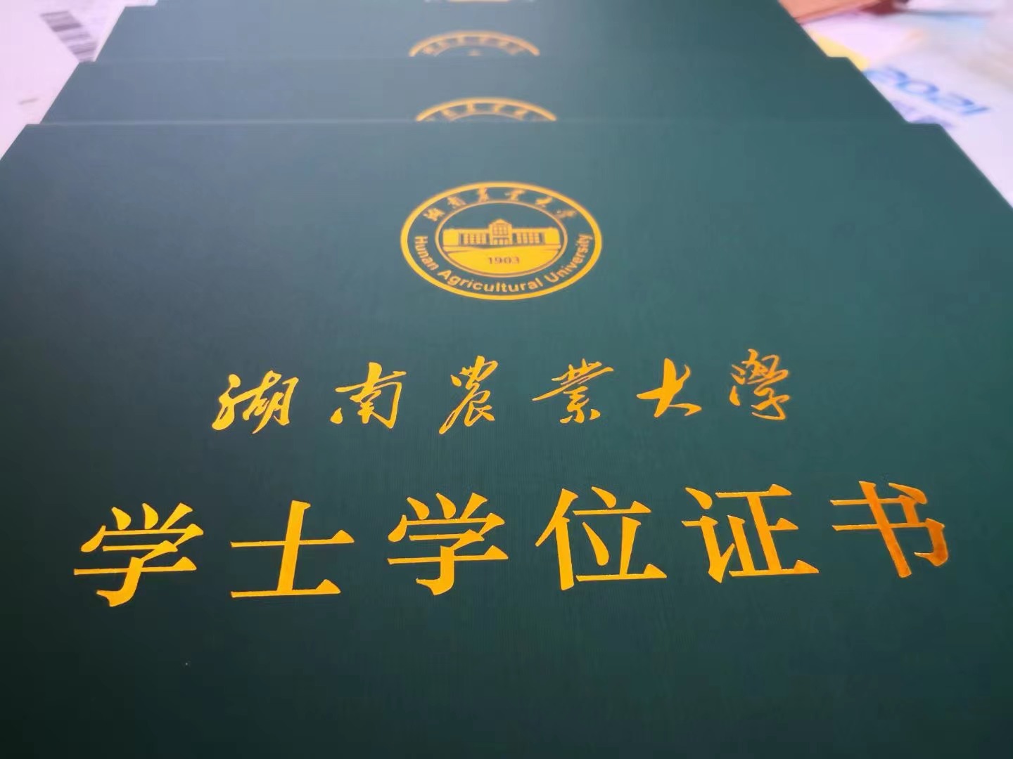 湖南农业大学学士学位证